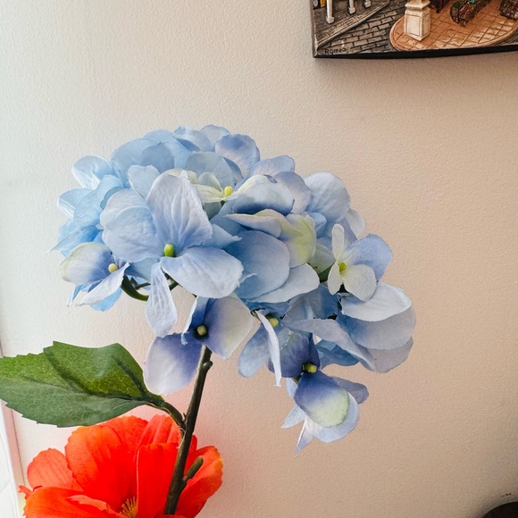 Meet your Posher, PoshK - Picture 1 of 1